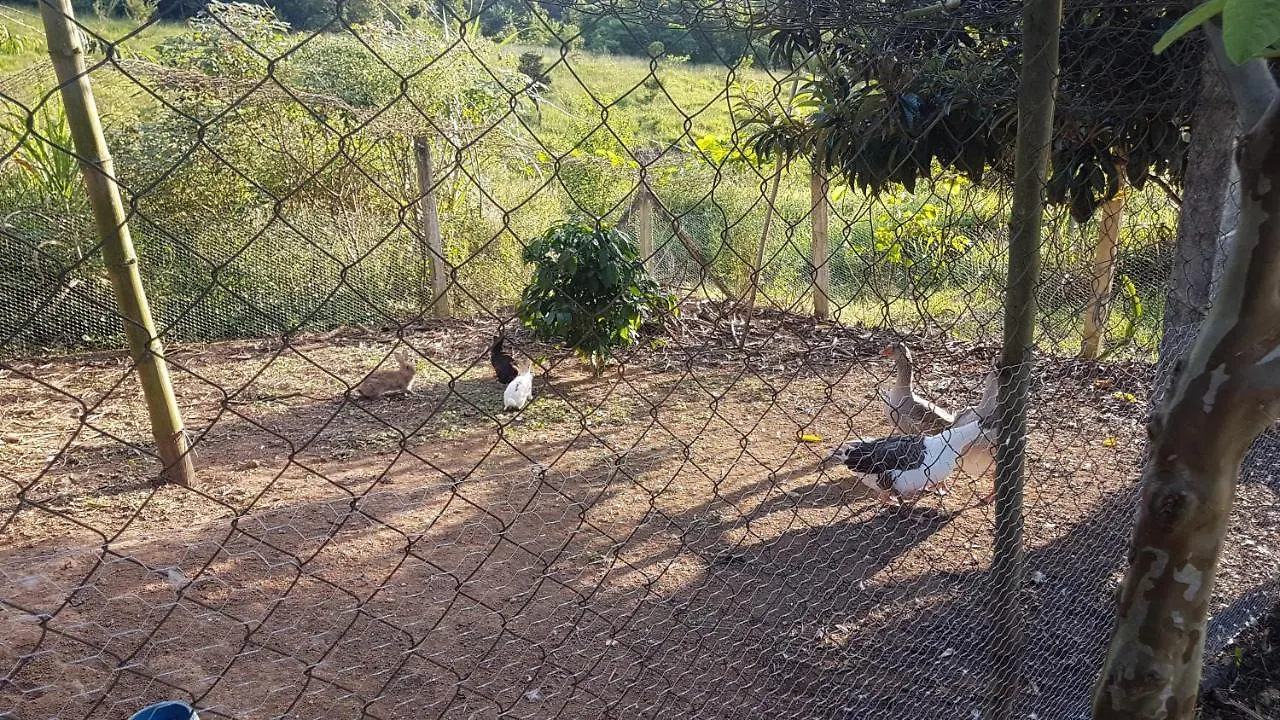 Casa de Férias Sítio Santa Filomena - São Roque Vila São Paulo
